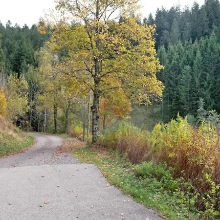 Ferienwohnung, Herrischried, Cleaning Included *