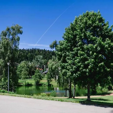 아파트 Ferienwohnung, Herrischried, Cleaning Included Herrischried