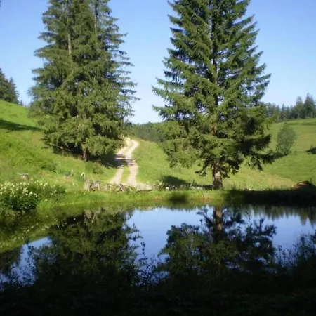 Ferienwohnung, Herrischried, Cleaning Included