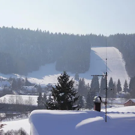 Ferienwohnung, Herrischried, Cleaning Included